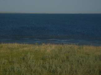 DSC08941.JPG